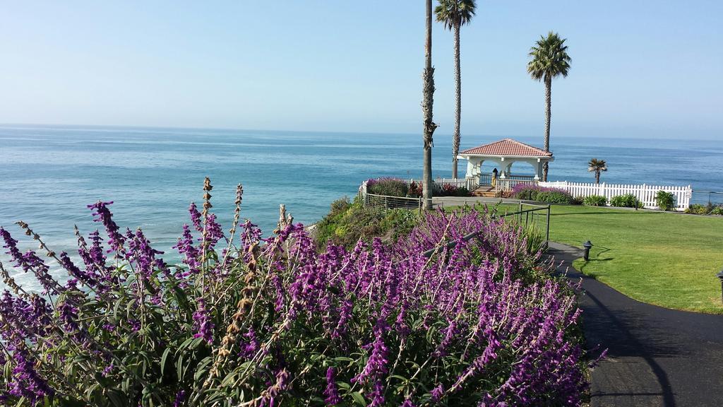 Shore Cliff Hotel Pismo Beach Exteriér fotografie
